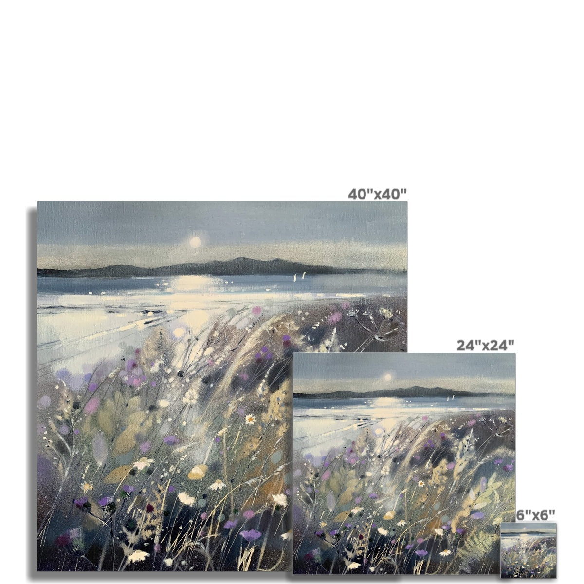 Summer Fields and Arran Scotland Art Print - Emma S Davis