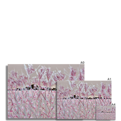 Comfy Cosy Croft Scotland Art Print - Milla Crann