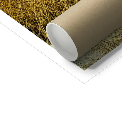 Luskentyre sand dunes Scotland Art Print - Stephen Henry