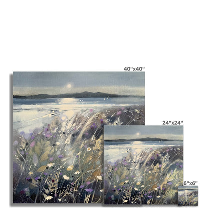 Summer Fields and Arran Scotland Art Print - Emma S Davis